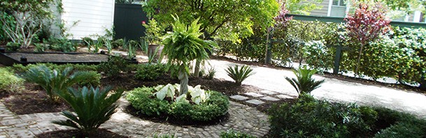 Curb Appeal in Charleston Landscapes - AFTER