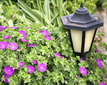 Outdoor Lighting for your Charleston Garden